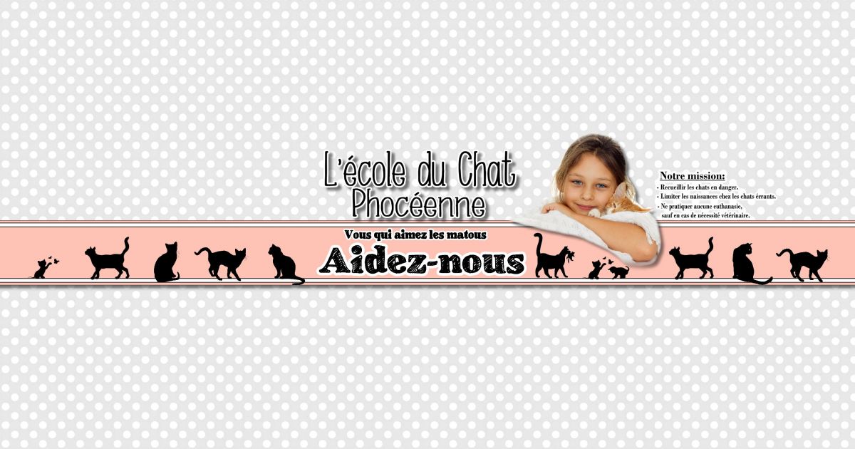 L Ecole Du Chat Phoceenne Tipeee