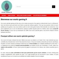 souris-gaming-aide souris-gaming-aide