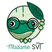 Faire des fiches de révisions - Méthodologie - Madame SVT 