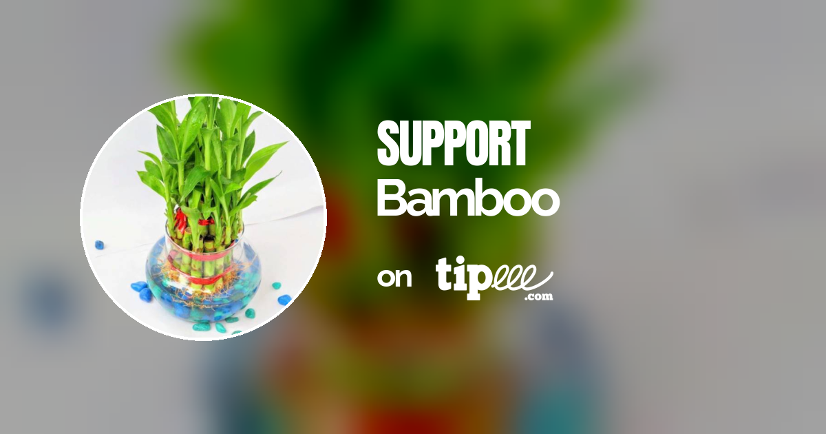 Bamboo Tipeee