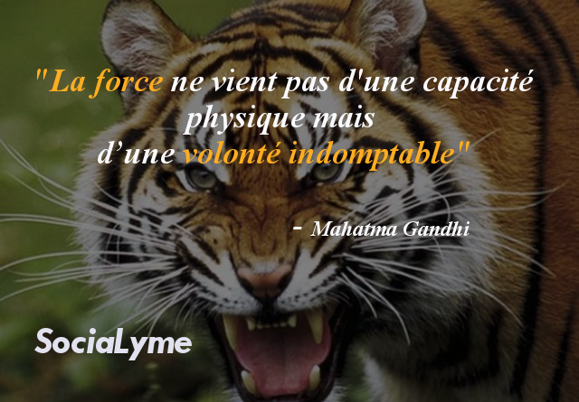 Tipeee Socialyme La Force Ne Vient Pas D Une Capacite Physique Mais D Une Volonte Indomptable Gandhi